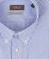 Blauw gestreept royal oxford overhemd met button-down